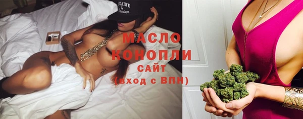 spice Ельня