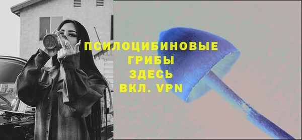 меф VHQ Гвардейск