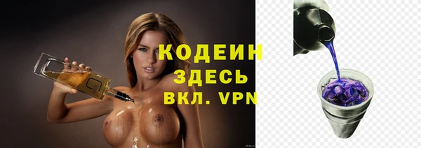 spice Ельня