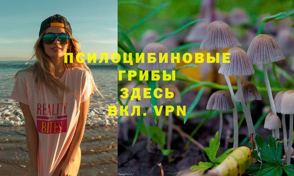 spice Ельня