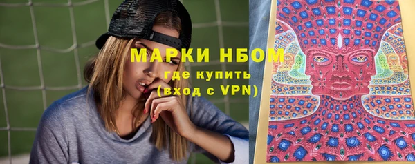 spice Ельня
