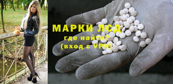 spice Ельня
