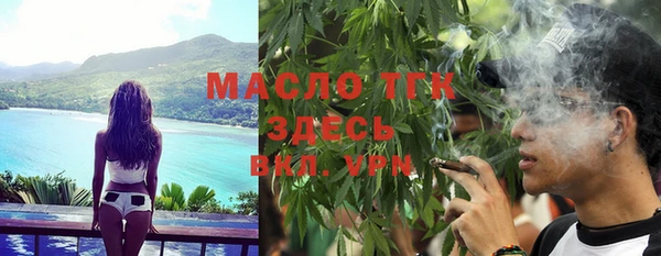 spice Ельня