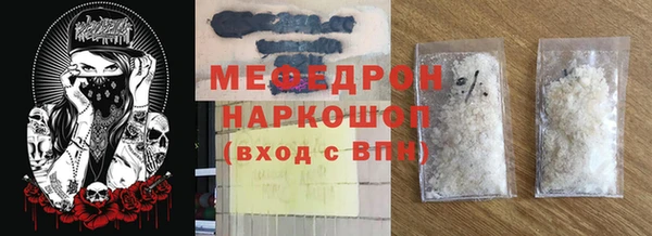 прущие грибы Гатчина