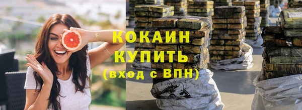 spice Ельня