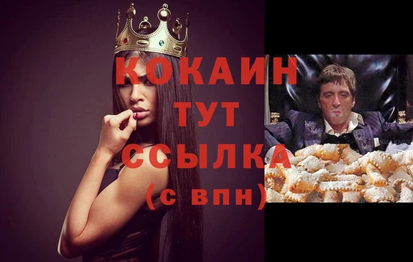 трава Елабуга
