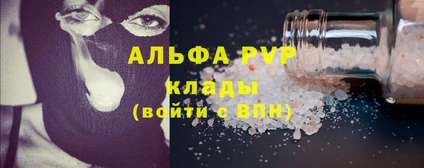 spice Ельня