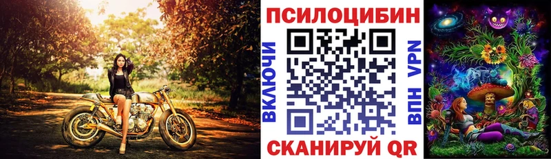 Псилоцибиновые грибы Psilocybe  Емва 